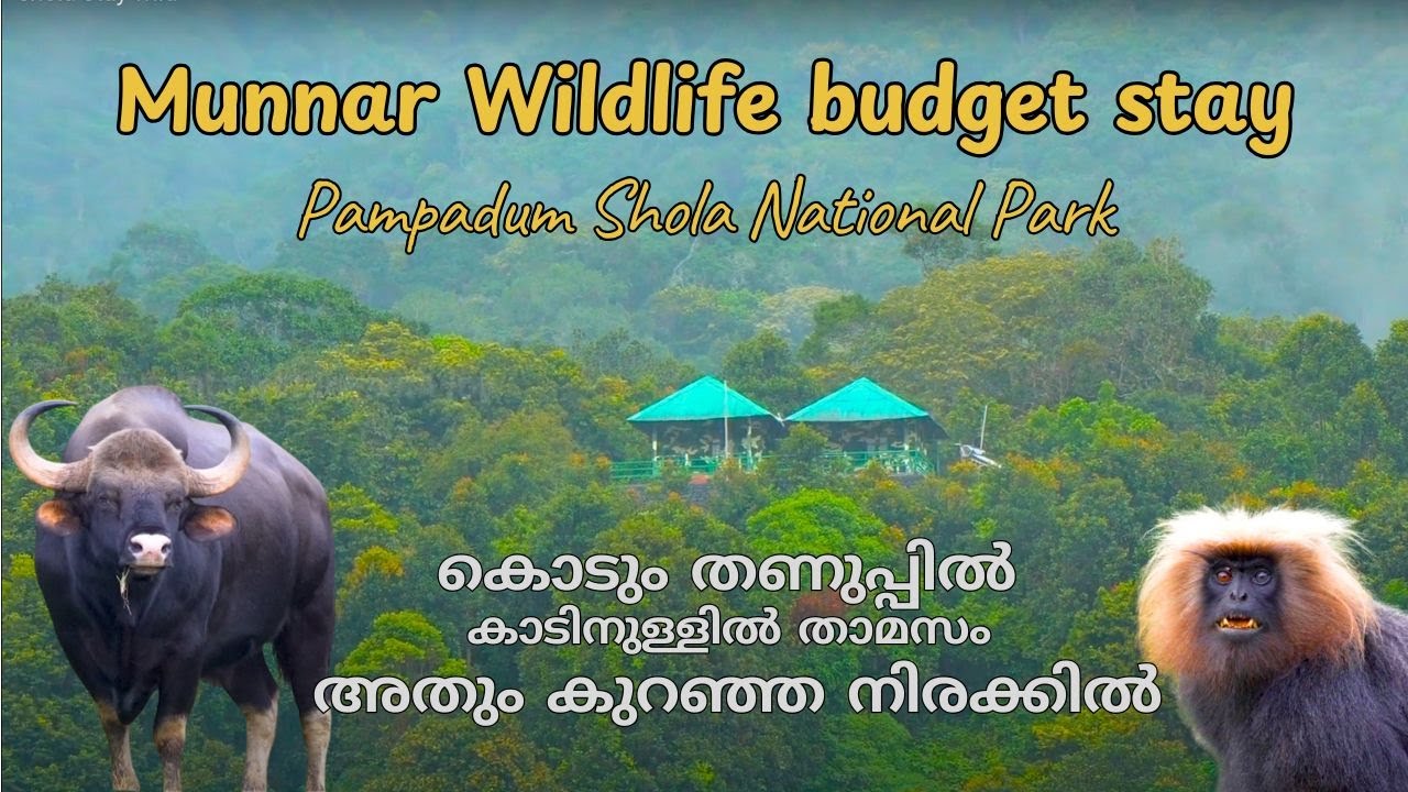 Budget Stay at India's Coolest Hill Station