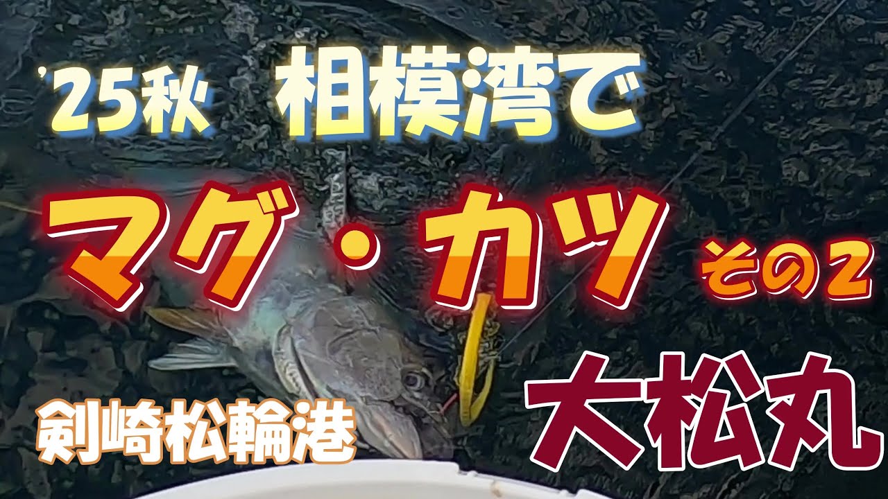 25秋 相模湾のマグ・カツ 大松丸