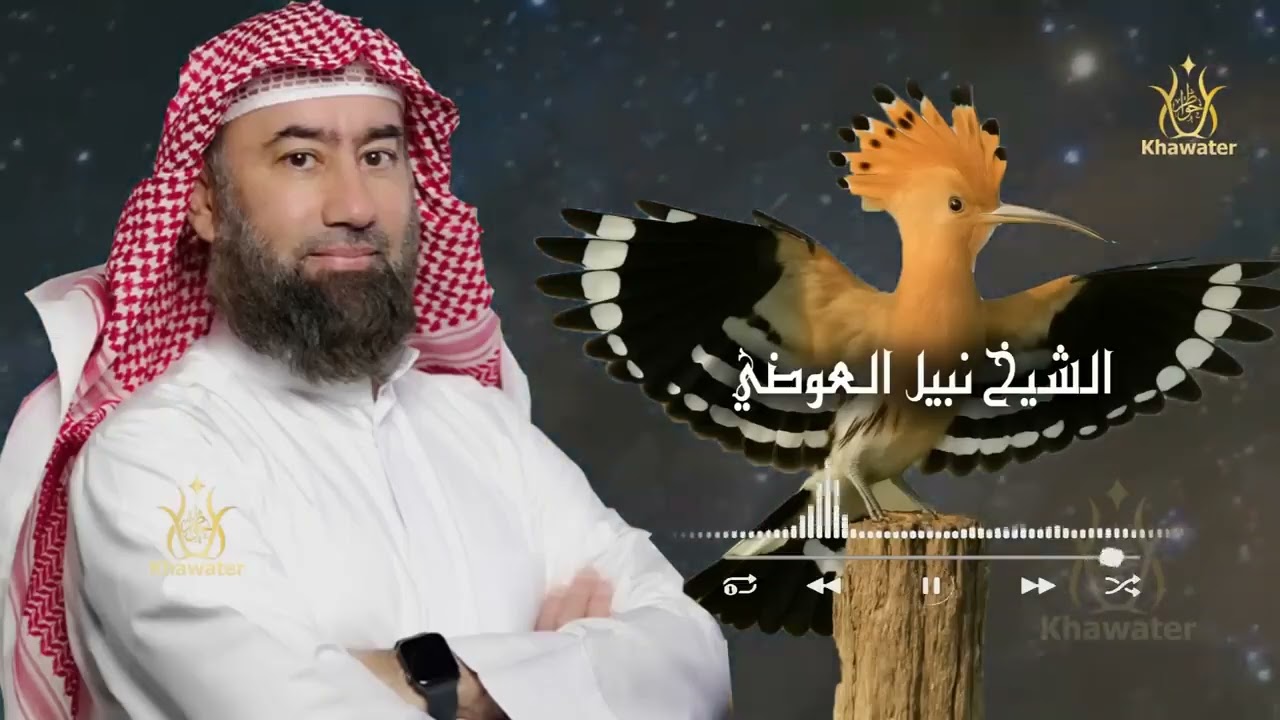 استكنّ… وخلي القصة تأخذك لعالم آخر    رحلة الى عالم الجن والمردة    قصص قبل النوم 🎧 نبيل العوضي