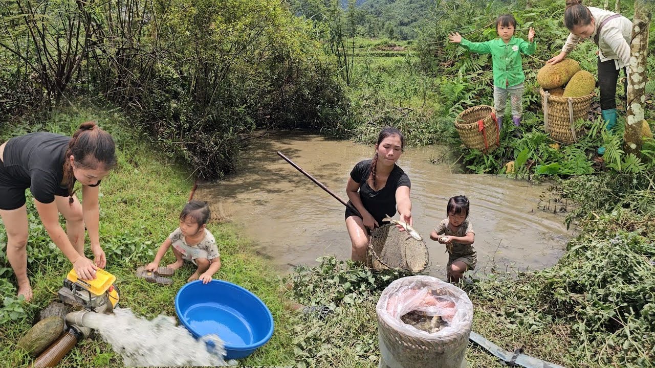 bailing water to catch fish in the wild lagoon and picking wild jackfruit to sell
