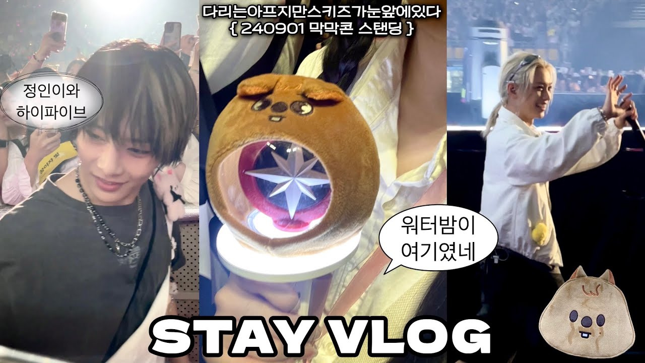 [STAY VLOG] 에이씨 기분이다! 스키즈 앙콘!! | 돌출펜스1열 | Stray Kids World Tour dominATE SEOUL | 스테이 브이로그 | 스키즈콘서트