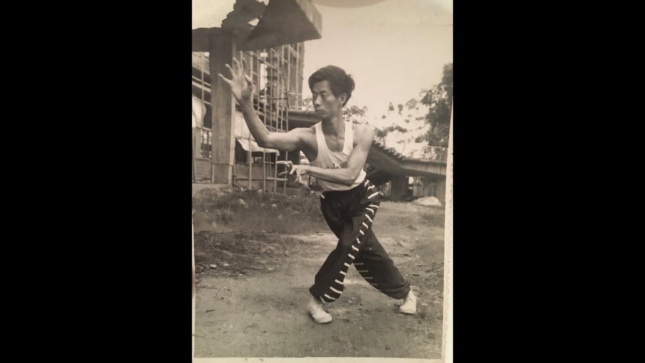 Fatsan Pakmei Sifu Chan Yau Man Tribute