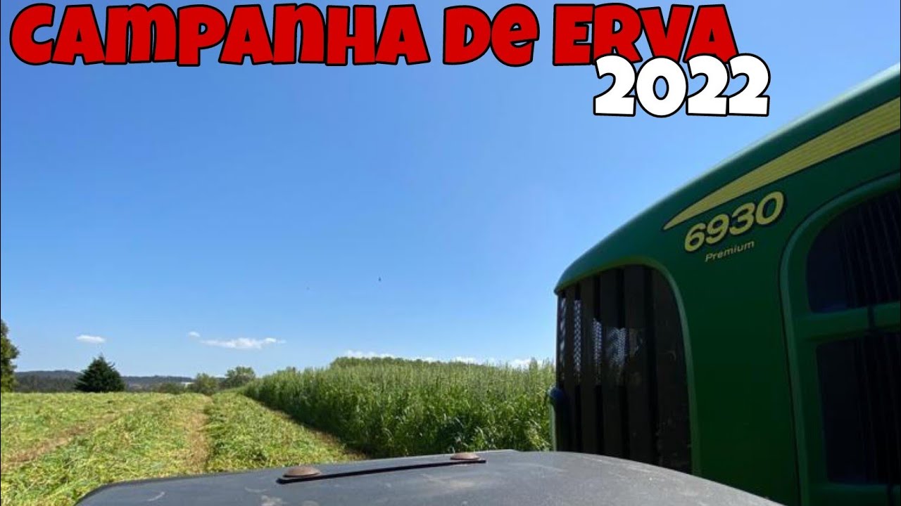 Campanha de Erva 2022 (Versão Músicas Portuguesas) Parte 1 🌿