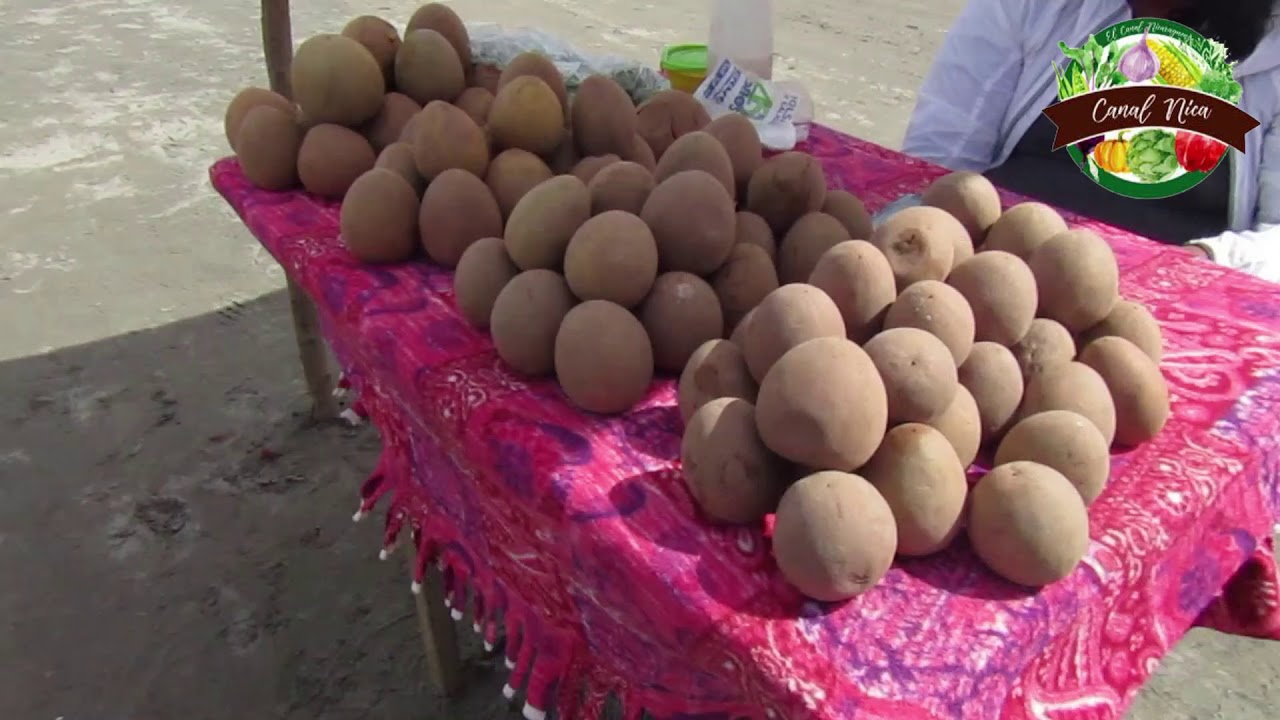 Dando un Paseo por San Jorge Rivas delicioso Baho, Enchiladas y Ceviche Nicaraguense