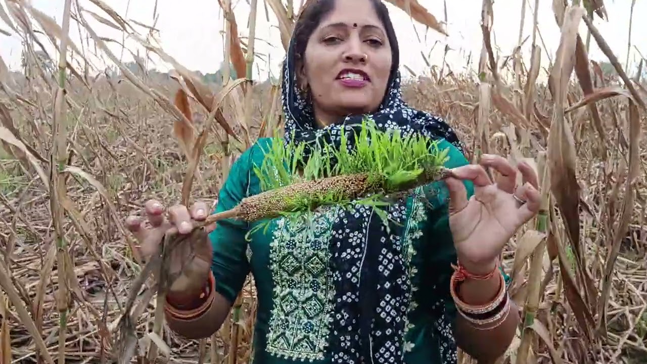 Khet ka nuksan