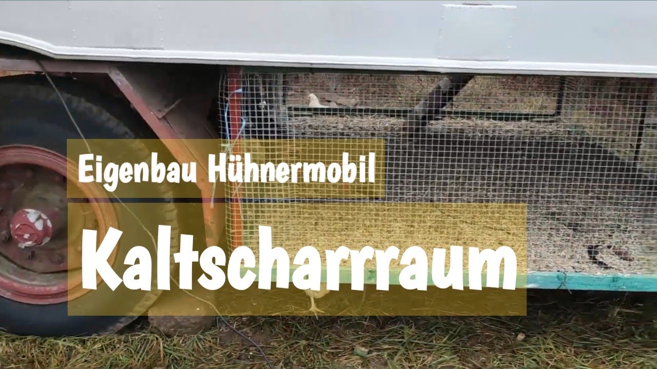 Eigenbau Hühnermobil | Kaltscharrraum | Update Hühner 8 Wochen
