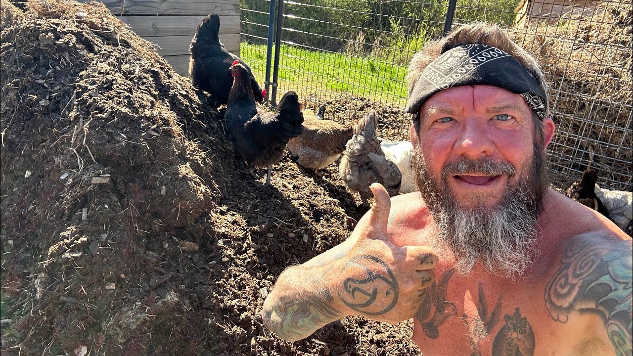 Building Back Our Compost Chicken Run (AGAIN)