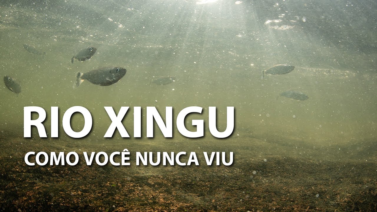 PEIXES nas corredeiras do RIO XINGU!