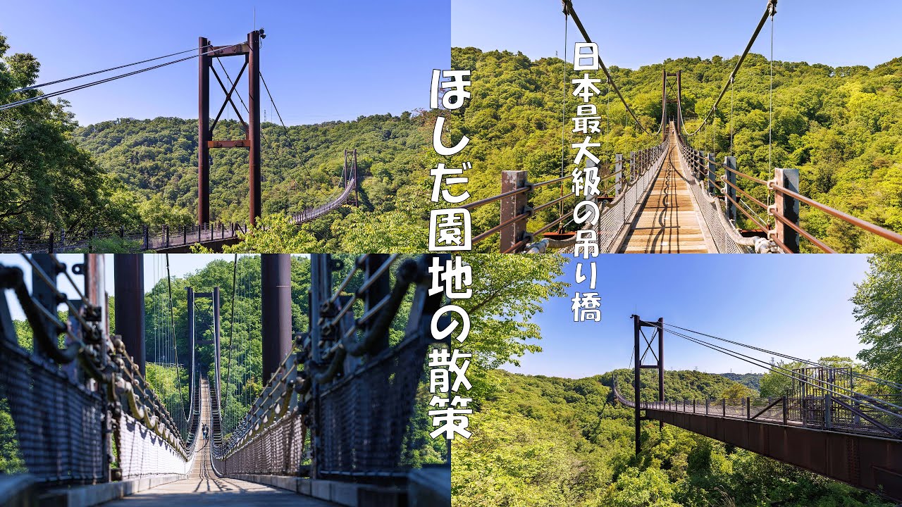 【沉浸式散步影片】初夏的清晨，穿過大阪市郊寂靜的山野，探尋日本最大的人工吊橋-ほしだ園地（4K UHD）