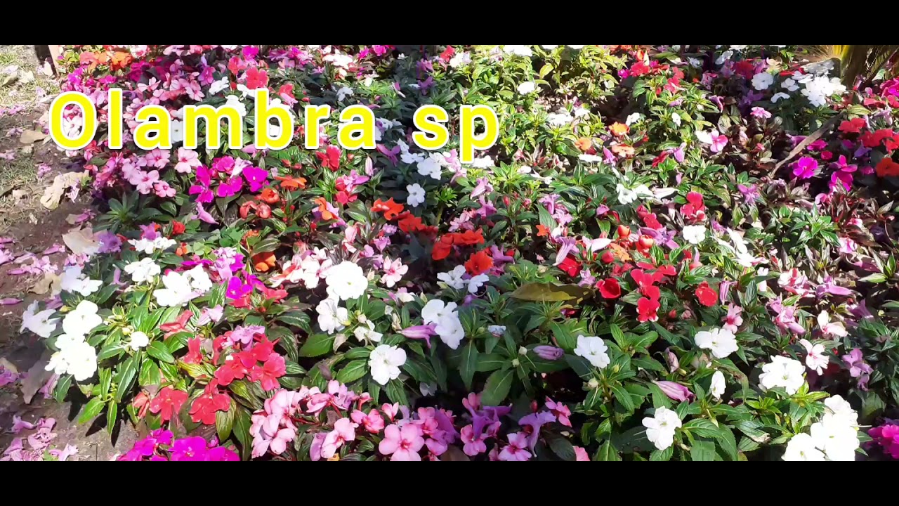OLAMBRA  CIDADE  Turisticos