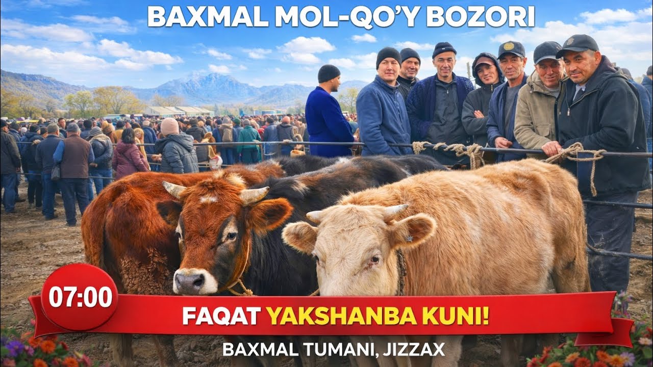 Jizzax Baxmal Usmat mol qoʻy bozori