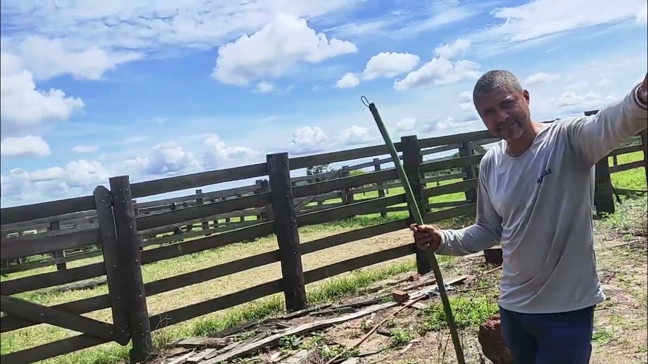 Dia 11/03 carregamento no Maringá para santo Afonso 