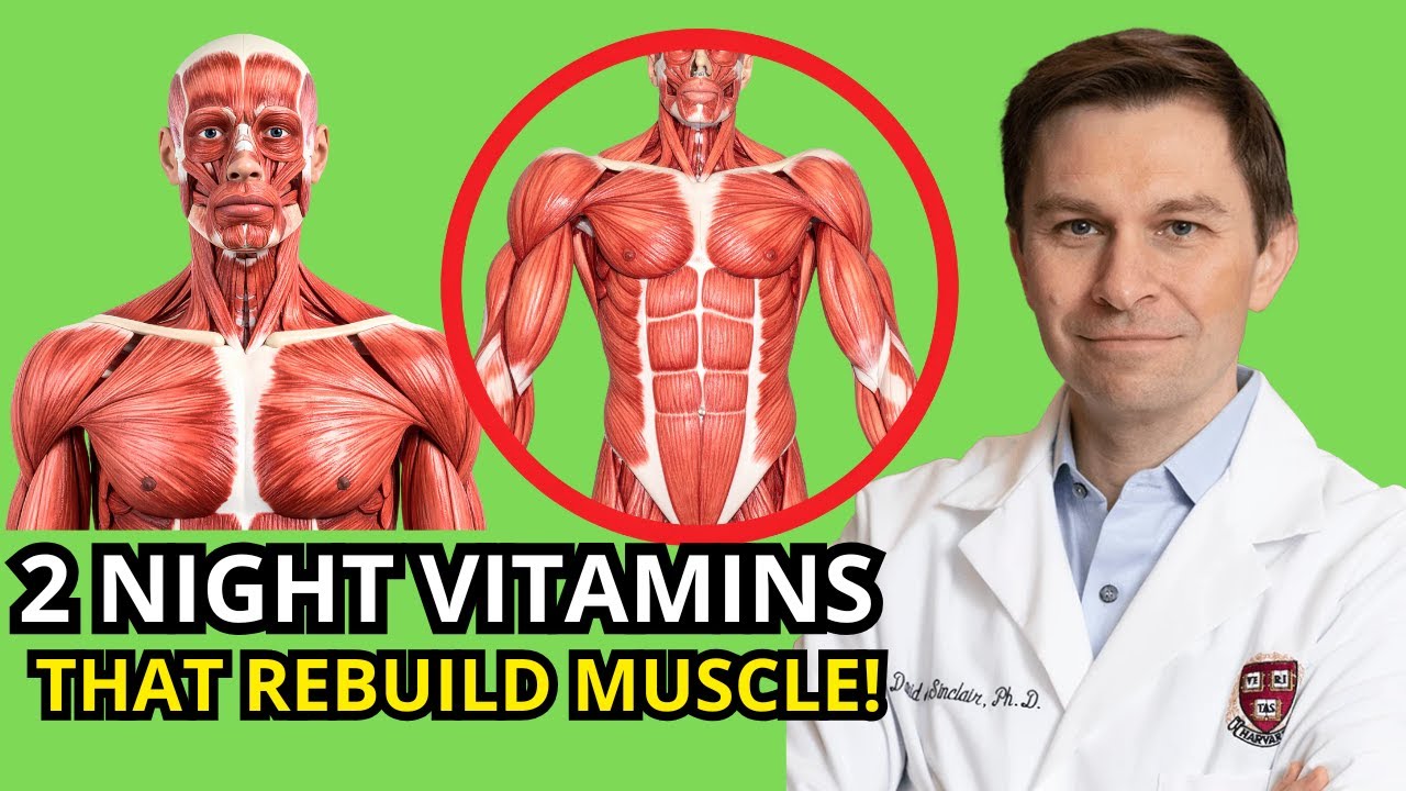 Over 55? These 2 Night Vitamins Rebuild Muscle While You Sleep | Dr. David Sinclair