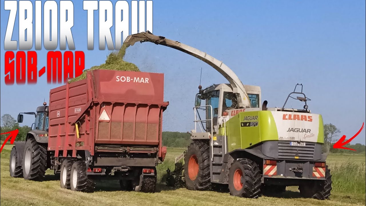 Oporowy zbiór traw🔥 Z Firmą Sob-Mar 4x case mx & sieczkarnia 1x Claas jaguar 870 🌾