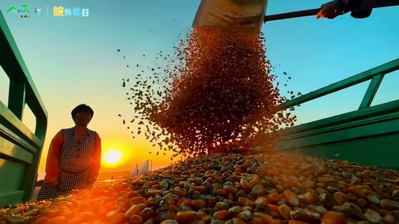 烟火藏诗意 诗意在乡间 我和我的家乡