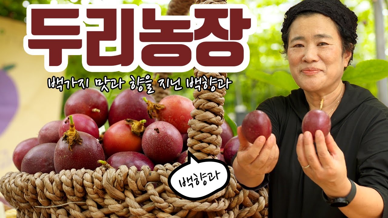 2022 안성맞춤 온라인 농촌체험
