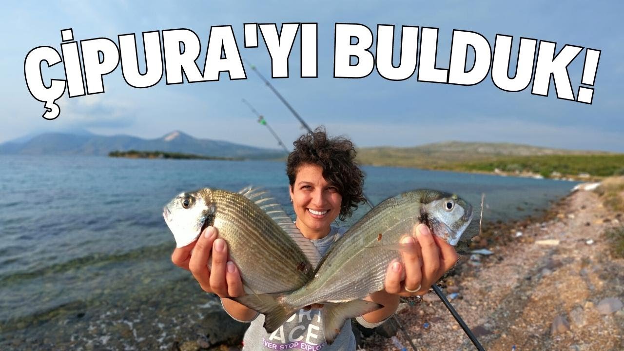 Ildır'da Kıyıdan Çipurayı Aldık! | Kamp ve Balık Avı için Eşsiz Bir Koy!