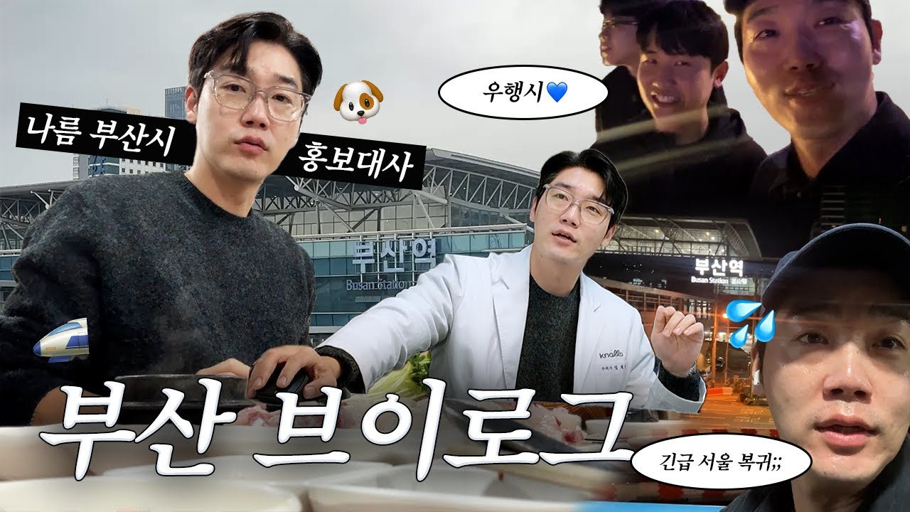 [Vlog] 매주 찍는 세나개, 매달 가는 부산 🚅 일상 담아왔어요!  | 설채현 수의사 브이로그