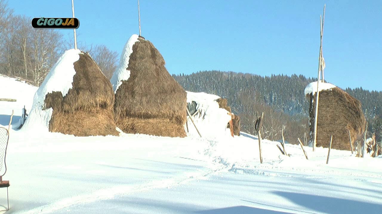 U POSJETI KOD   ANDJELKO COCKALO SIBOVI 2017 OFF ROAD