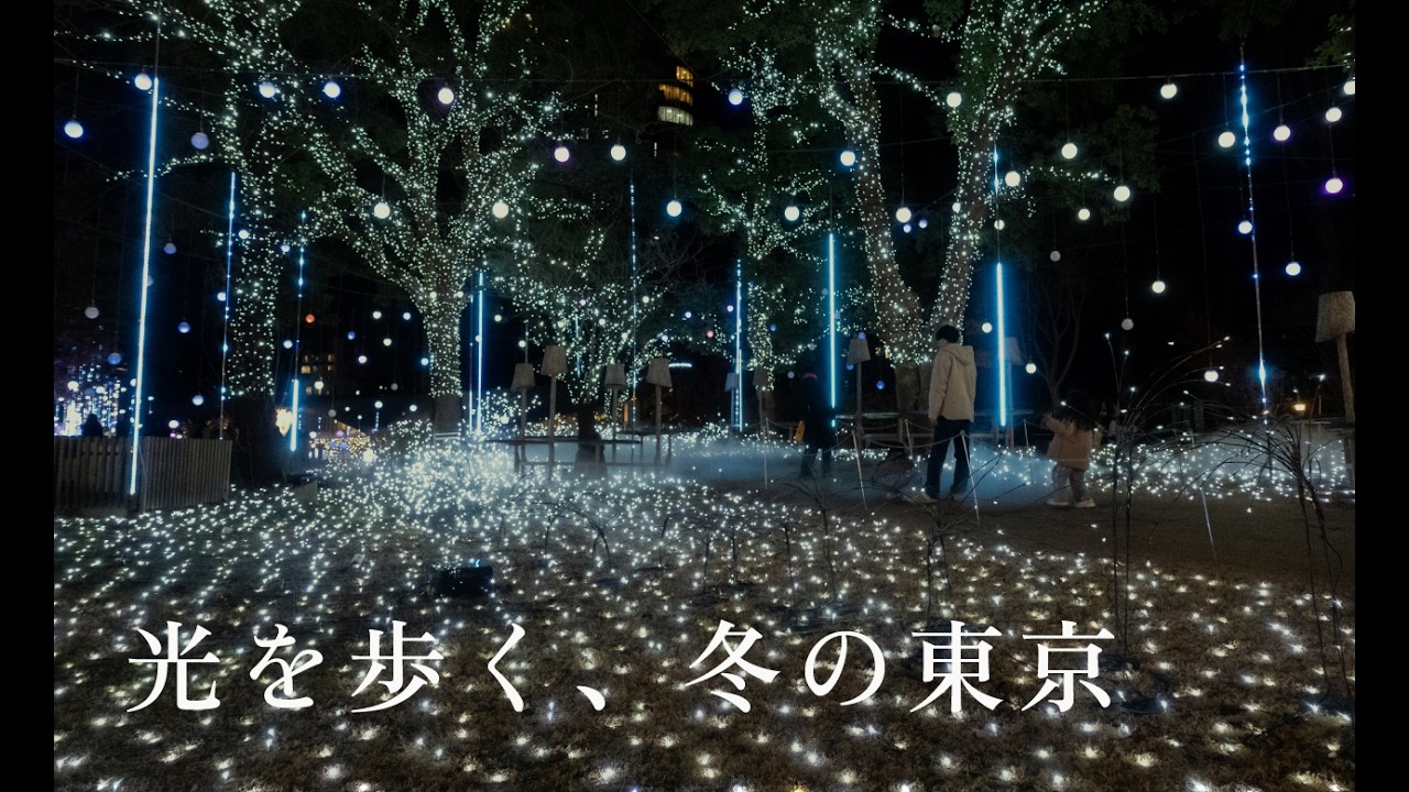 冬の東京、光をたどる夜