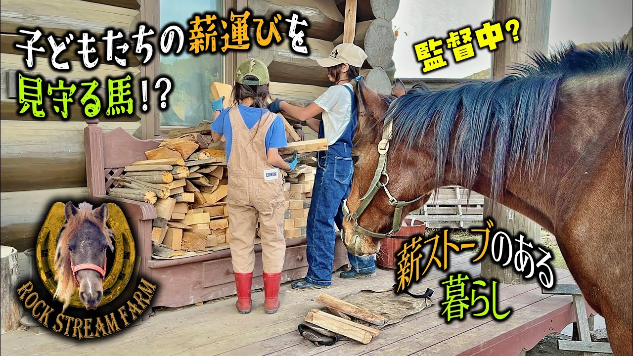 火のぬくもりがある暮らし・薪運びをしていたら、馬に見守られていた・薪ストーブでピザ！／Improved Quality of Life  with a Wood Stove  Vol.146【RSF】