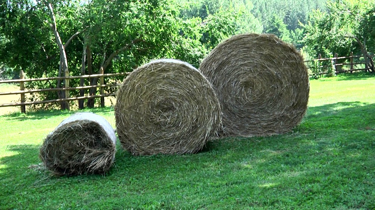 Tenuta Filicetti Camigliatello Silano