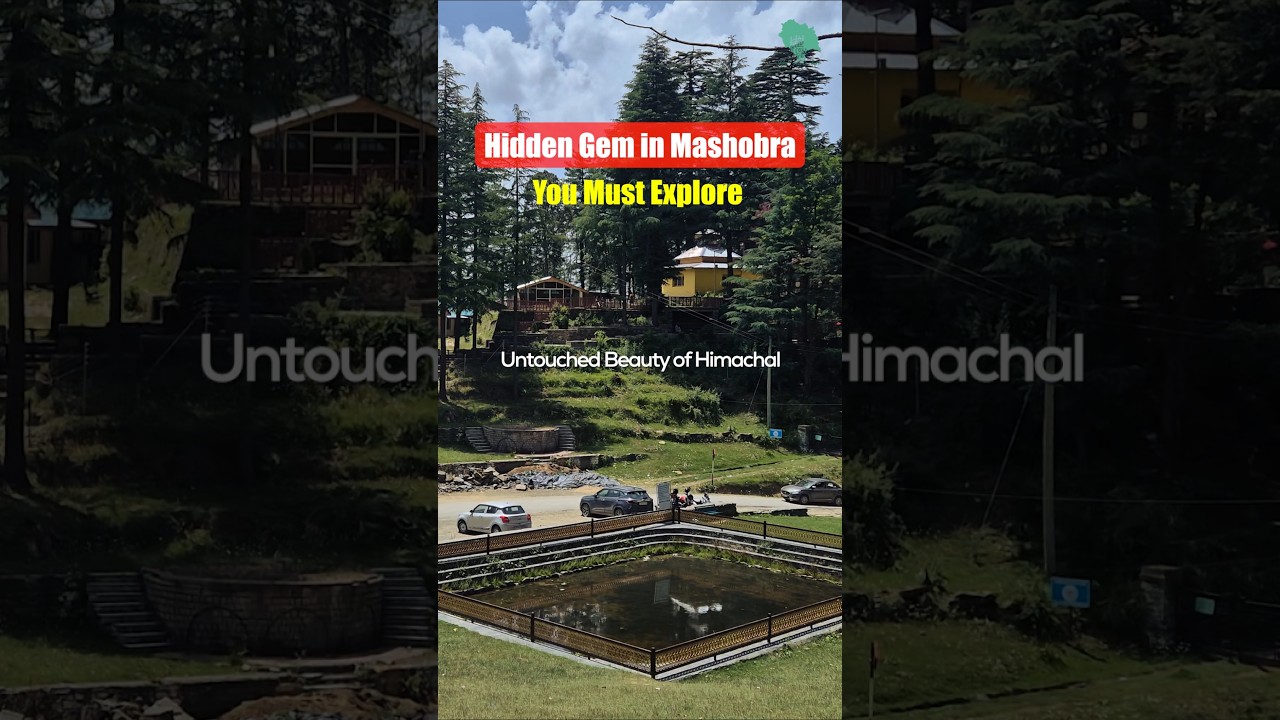 Things to do in Mashobra Shimla. #mashobra #realhimachal #travel