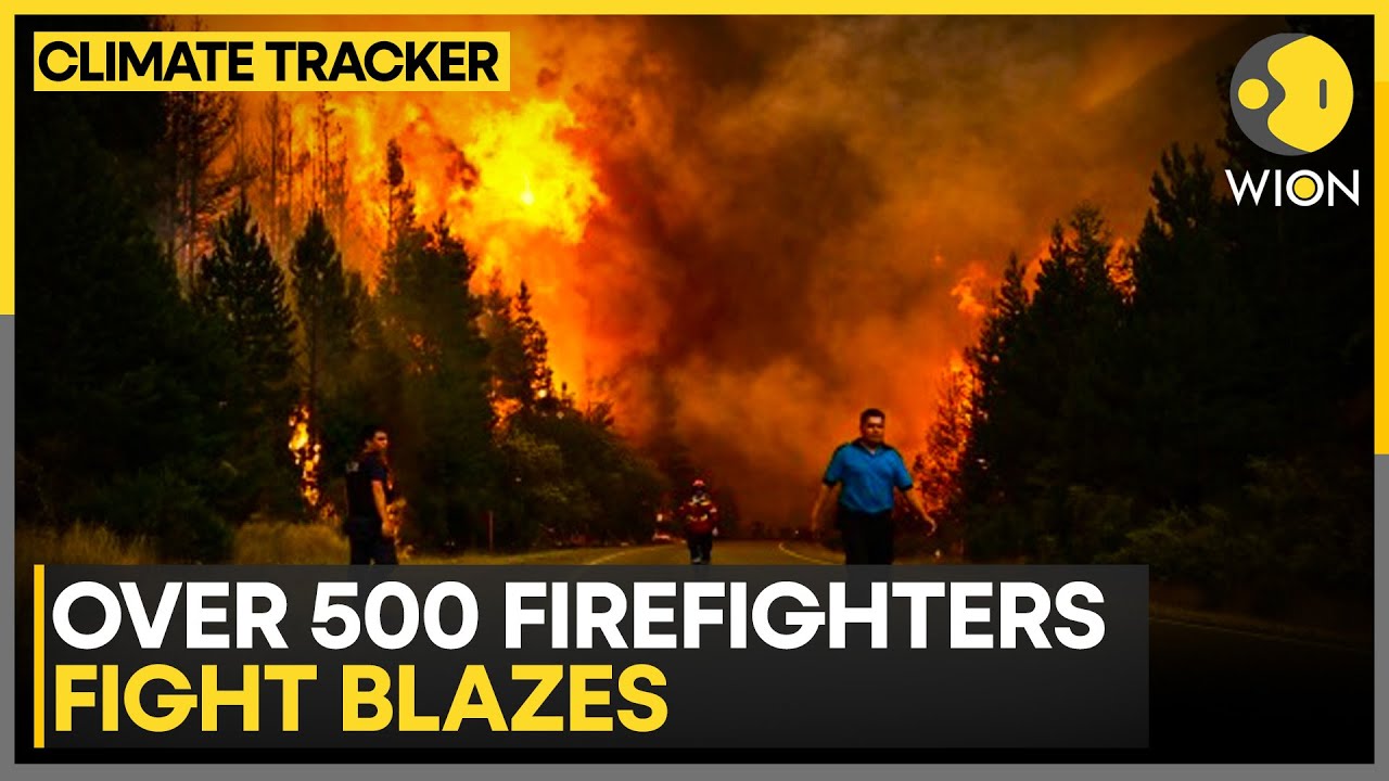 Argentina Wildfires: Massive Wildfires Scorch Patagonia, 15,00 Hectares Burnt | WION Climate Tracker