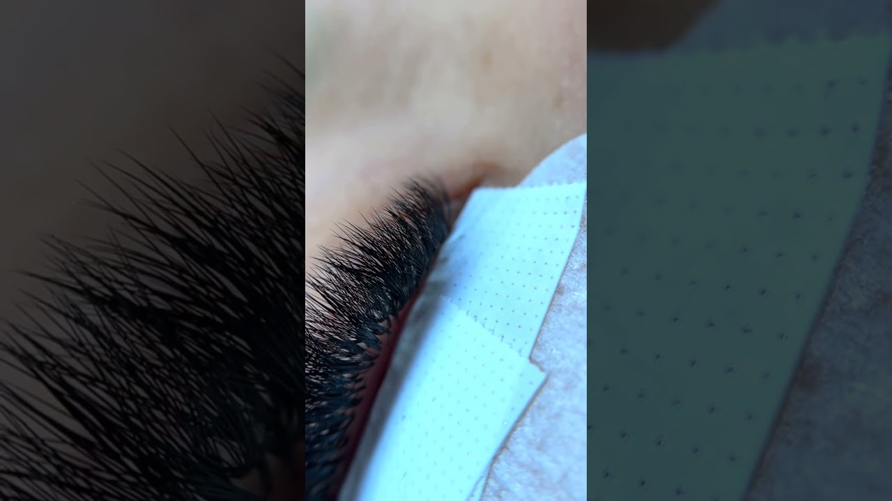 Russian volume lash line! #russianvolume #lash #line #closeup #look