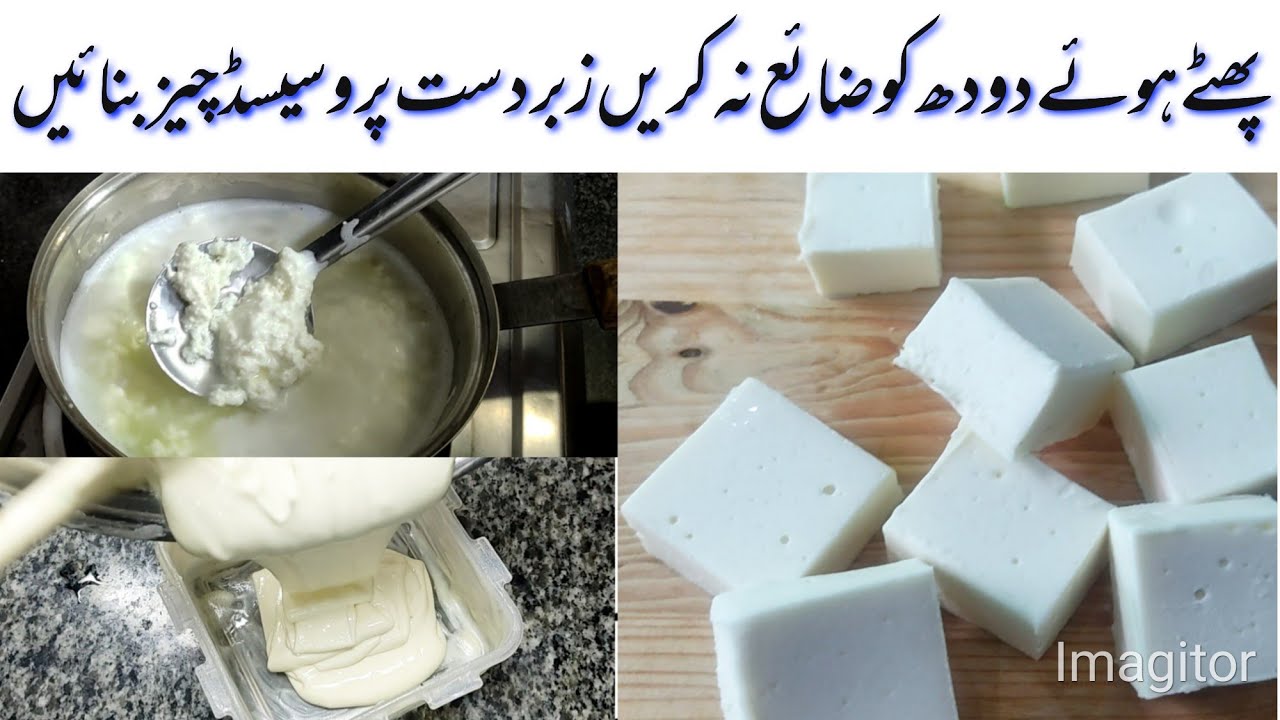 How to Make Processed Cheese With Spoiled Milk /  Homemade Processed cheese by Lets Cook With Asia