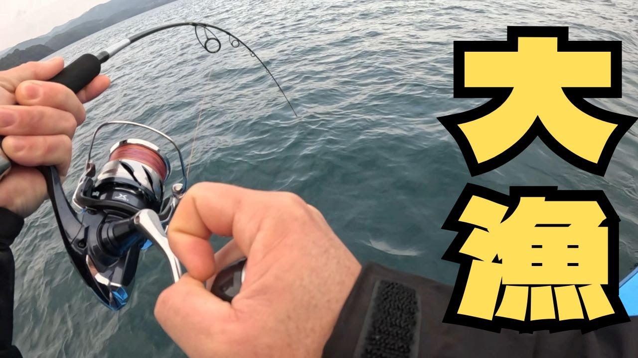 ブリを簡単に釣る方法！　巻くだけで釣れます!