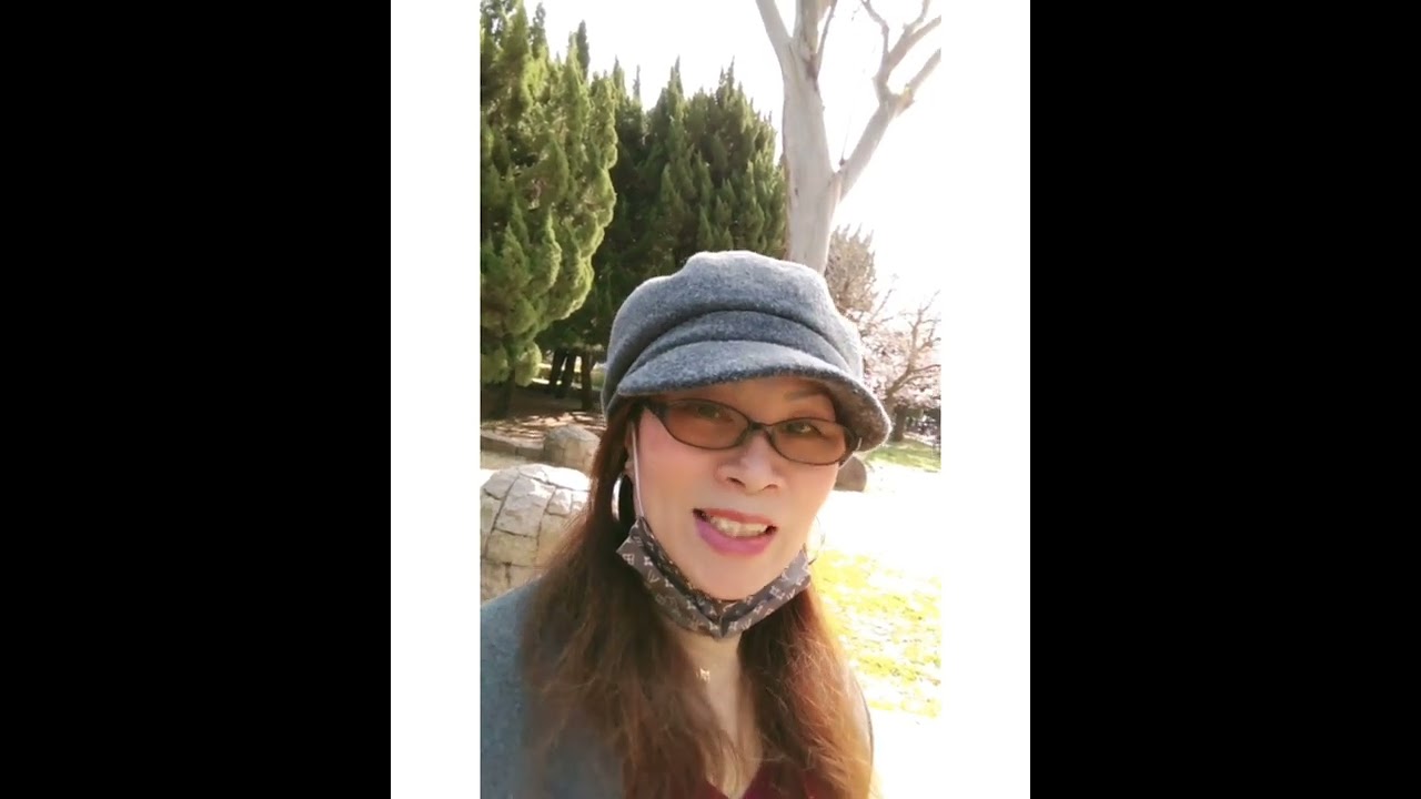 The Sakura blossoms in Nagai Park.🌸🌸🌸