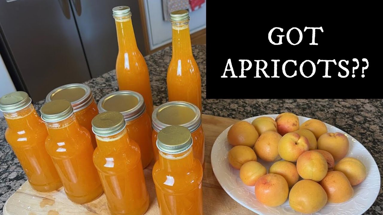 WHAT TO DO WITH ALL THOSE APRICOTS?? Make and Can APRICOT SYRUP! #apricots #pancakesyrup #syrup