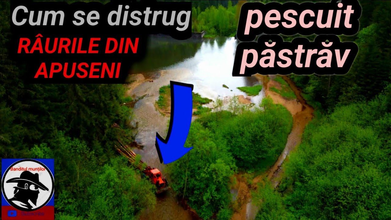 Se DISTRUG și ultimele RÂURI din Apuseni, care mai țin PĂSTRĂVI! Lacul (arie protejată)