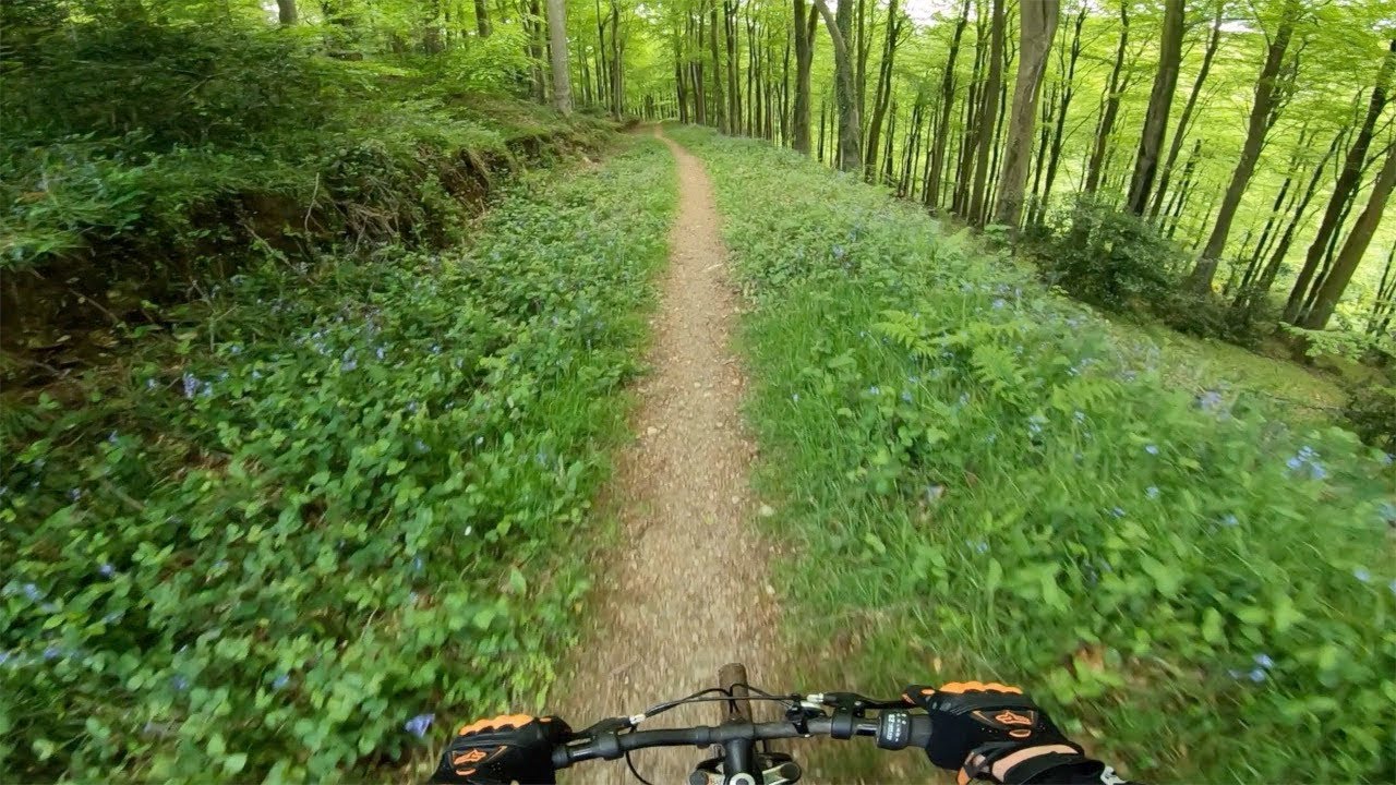 FULL KINGS CLIFF MTB TRAILS TOUR + PETHY PUMPTRACK