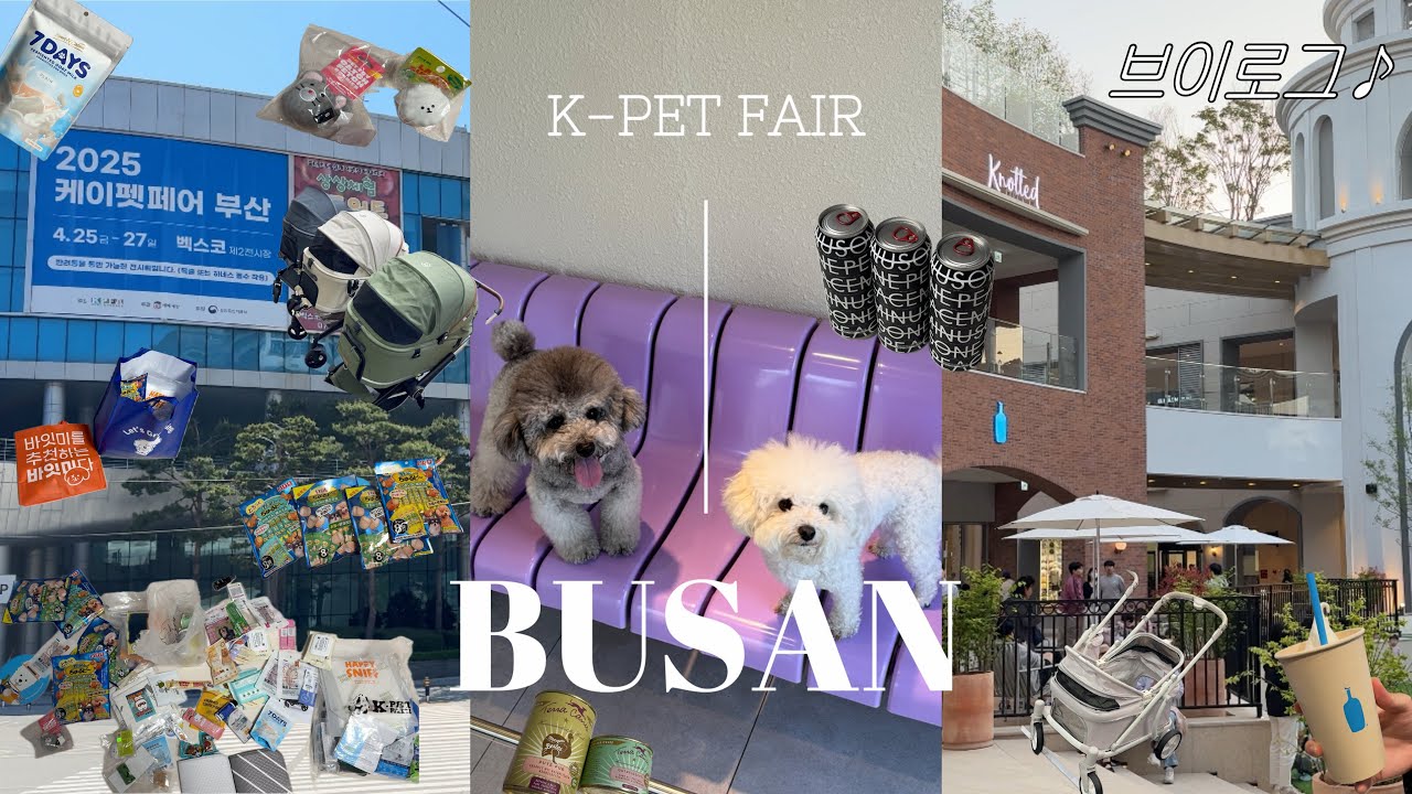 [VLOG] 부산 케이펫페어 쓸어오기🐶 | 애견유모차 찾기🛞 | 이마트 털기 대작전🚨 | 기장 애견카페 그리고 신세계아울렛 구경👀 | 피마원하이볼🥂, 블루보틀🥤먹어버리기