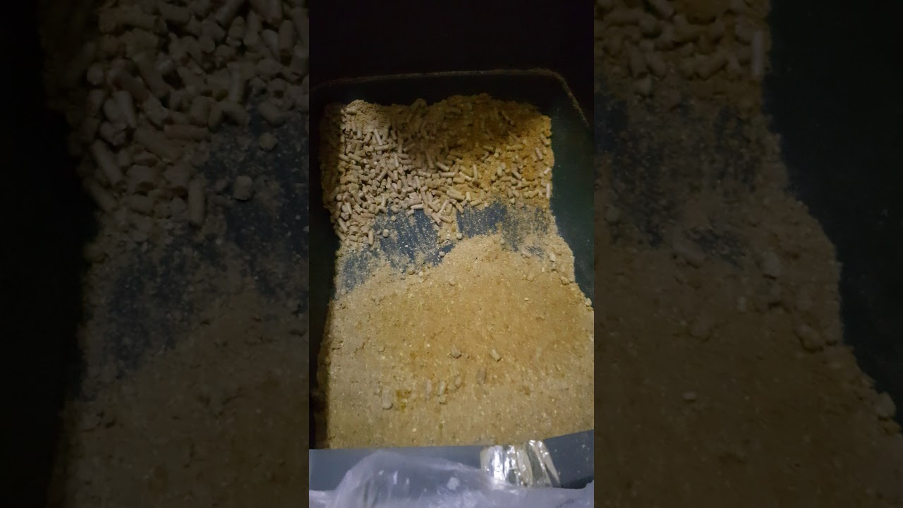 Normal kum tuvaletinde çam peleti kullanımı ve temizliği
