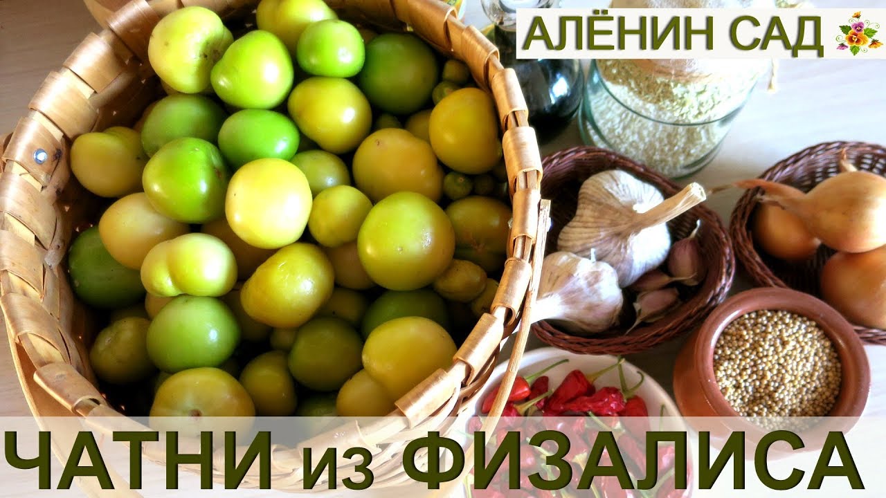 ЧТО ТАКОЕ ЧАТНИ? Чатни из физалиса или томатилло 🍅 Tomatillo Chutney