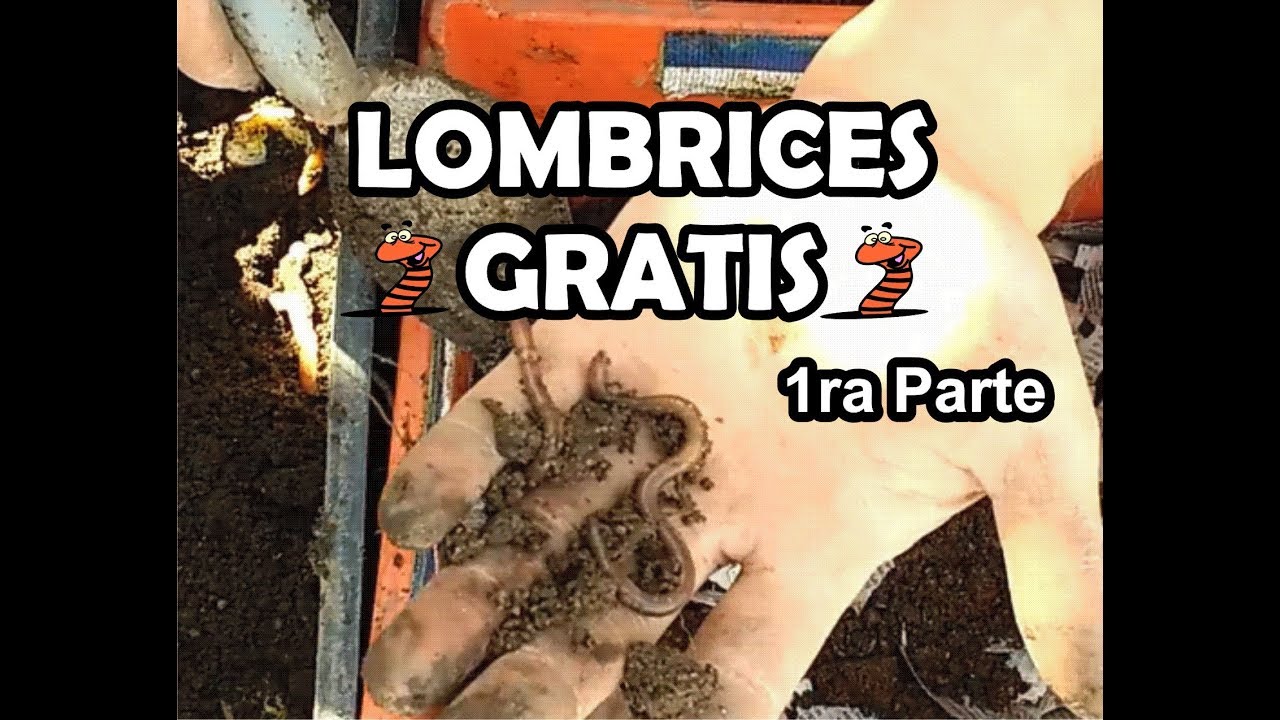 Como Obtener Nuestras Lombrices Gratis!!! #elpatiodefabian