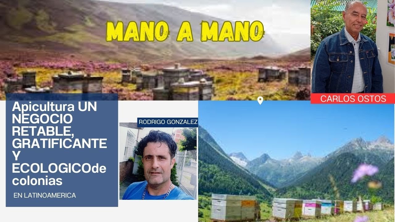 La Apicultura mas rentable, ecologica, anti estres y gratifucante . IMPERDIBLE