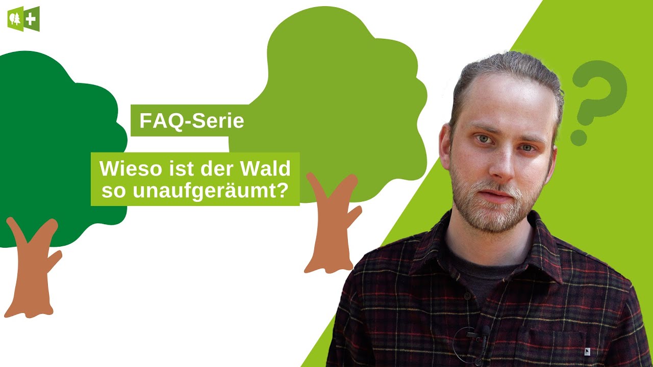 Wieso hat es Totholz im Wald?