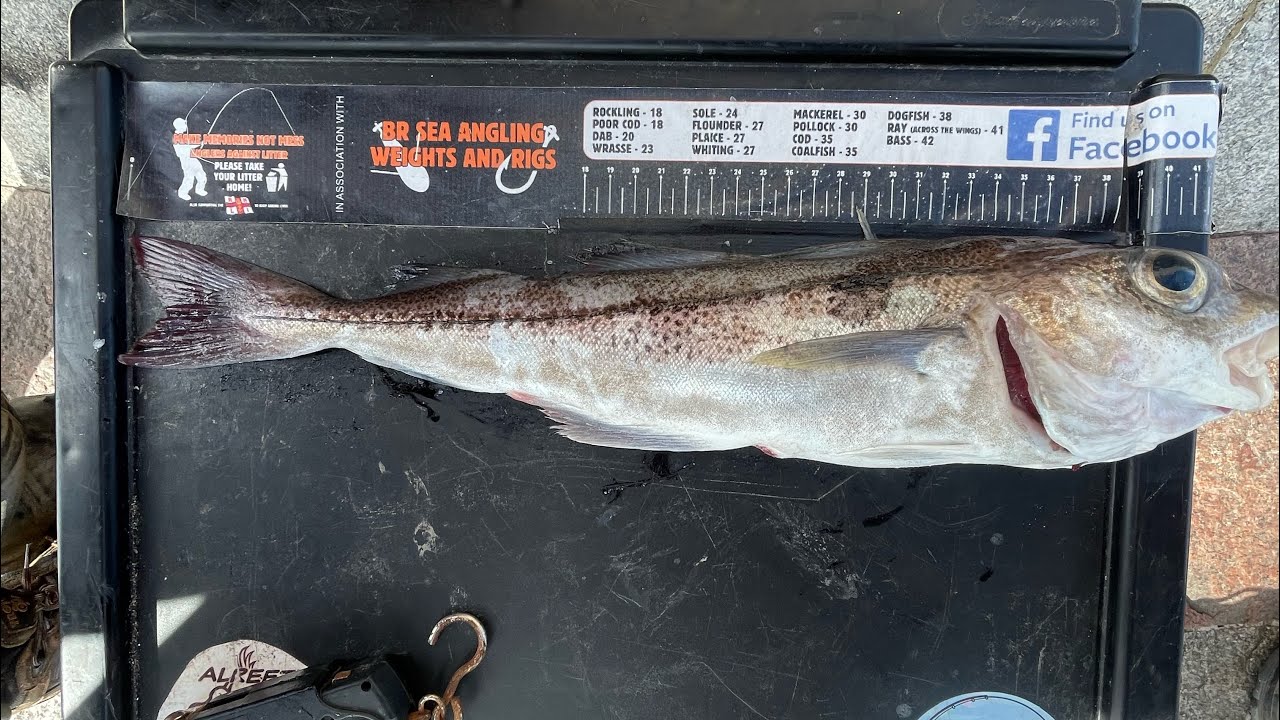 Mint day fishing on Roker pier with the boys 17.3.23