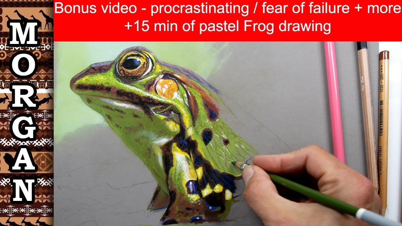 Overcoming procrastination + some pastel drawing Jason Morgan wildlife art