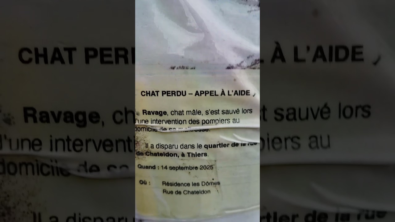 Thiers - Chat perdu rue de Chateldon