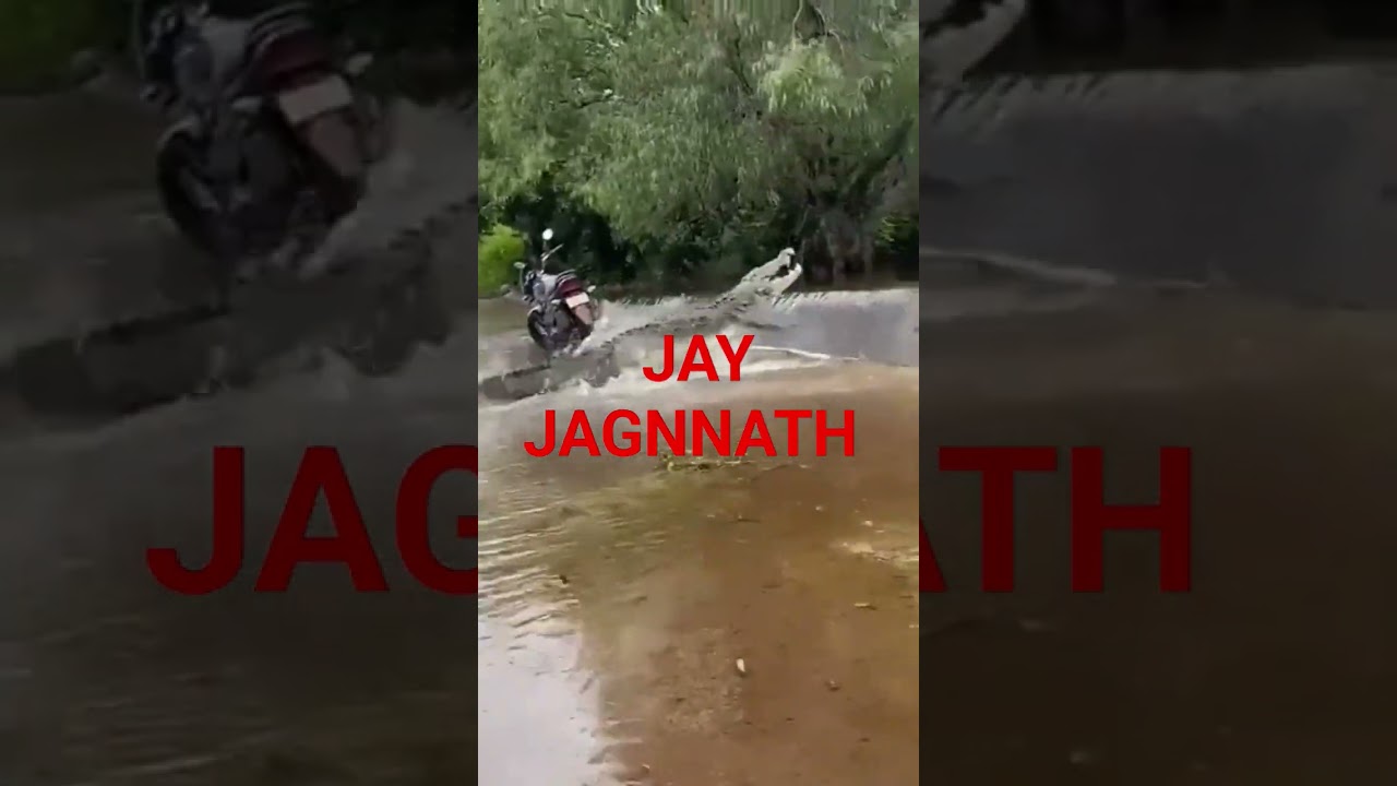 Crocodile Attacks jajpur Odisha ||#dash express#youtubeshorts #shots #ytshort #viral