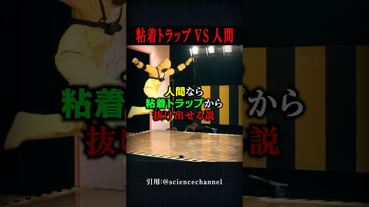 人間なら粘着トラップから抜け出せる説！