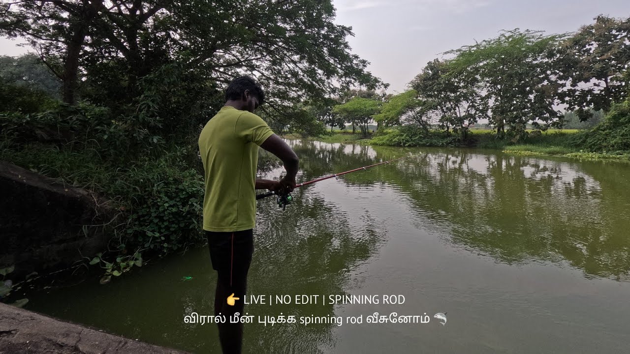 👉 LIVE | NO EDIT | SPINNING ROD | விரால் மீன் மாட்டுமா 🦈