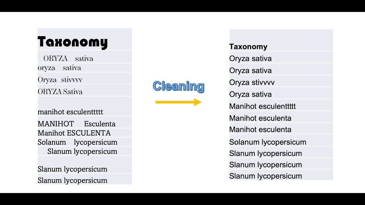 Passport Data Preparation - Part 1 | Webinar series with Genesys