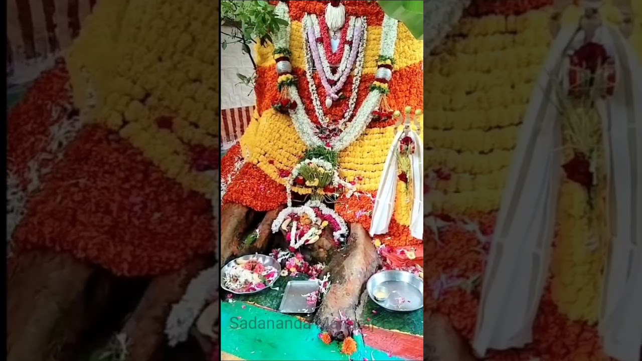 jai shree sadananda Maharaj