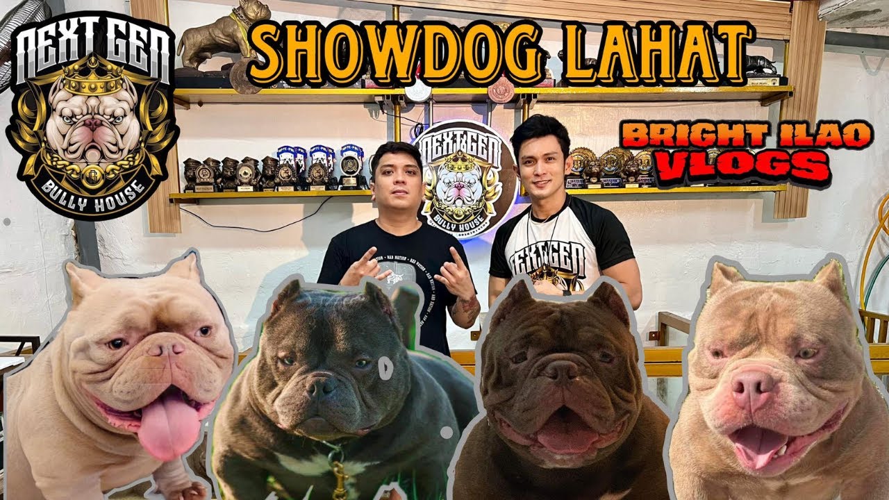 Mabait na Stud Owner | Free Gen Check up Before Stud